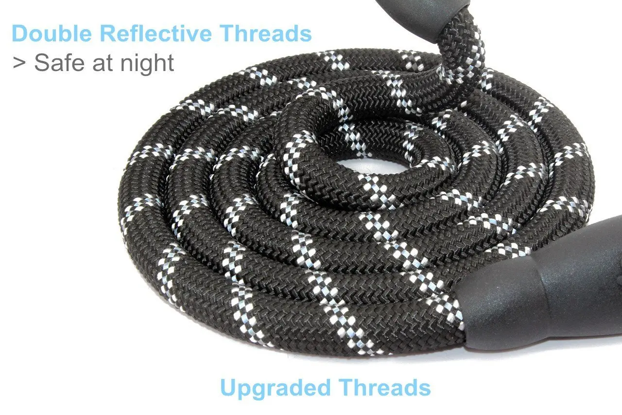 dog leash-2.jpg