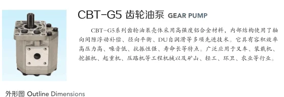 Kết hợp CBT-G532/G550/G563/G580 thủy lực gear pump đối phụ tùng máy xúc