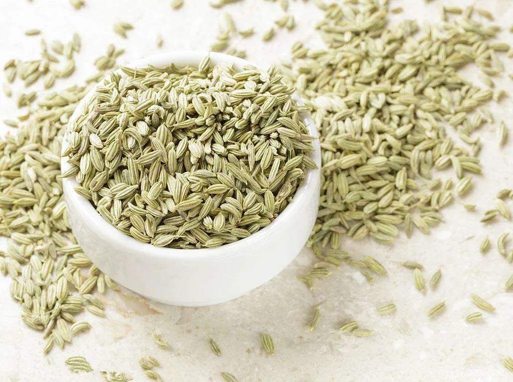 hot selling high quality fast delivery fennel seeds