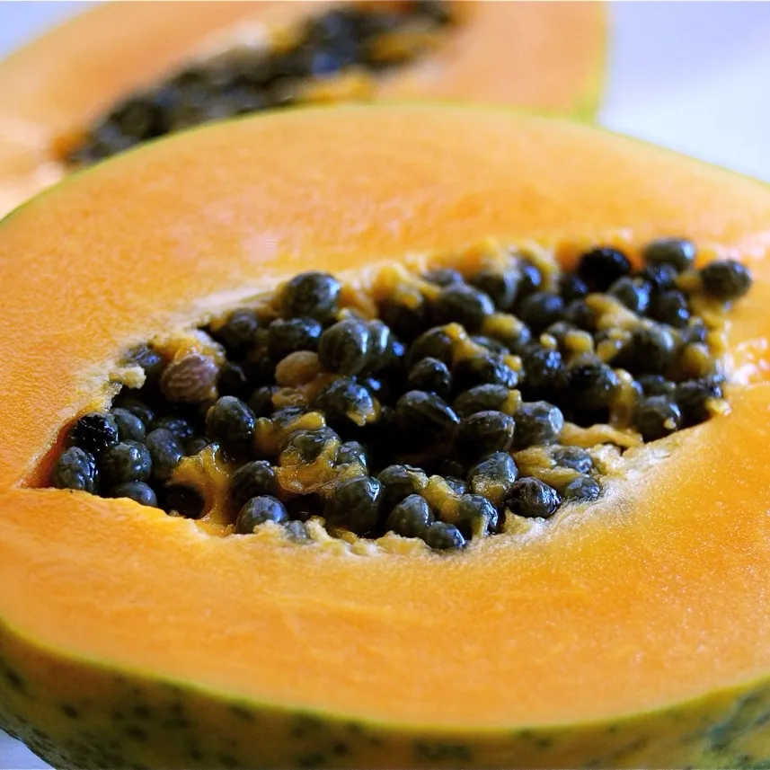 maradol papaya seeds