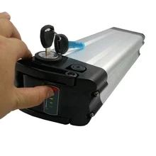 silver fish battery .jpg