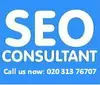 SEO Consultant