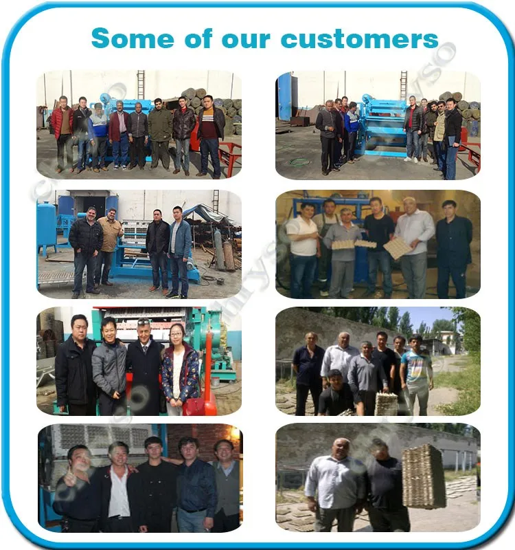 Our customers(egg tray)