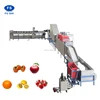 Indian Citrus Kinnow Mandarin Orange cleaning Waxing Drying and Grading Machine