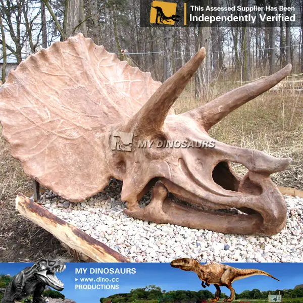 私の恐竜 恐竜の骨の骨格の化石トリケラトプスの頭 Buy 化石 スケルトン 恐竜の骨 Product On Alibaba Com