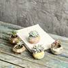 Wholesale small succulent ceramic plants flower dull polish pots for table