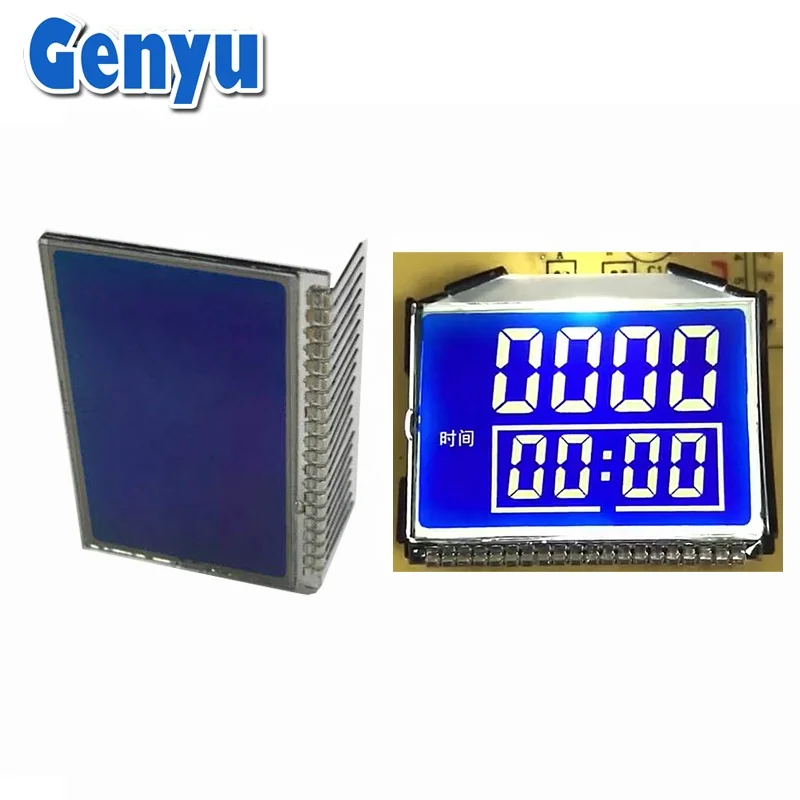custom segment lcd display.jpg