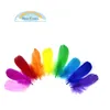 Colorful Feathers for Craft Wedding Home Party Decorations