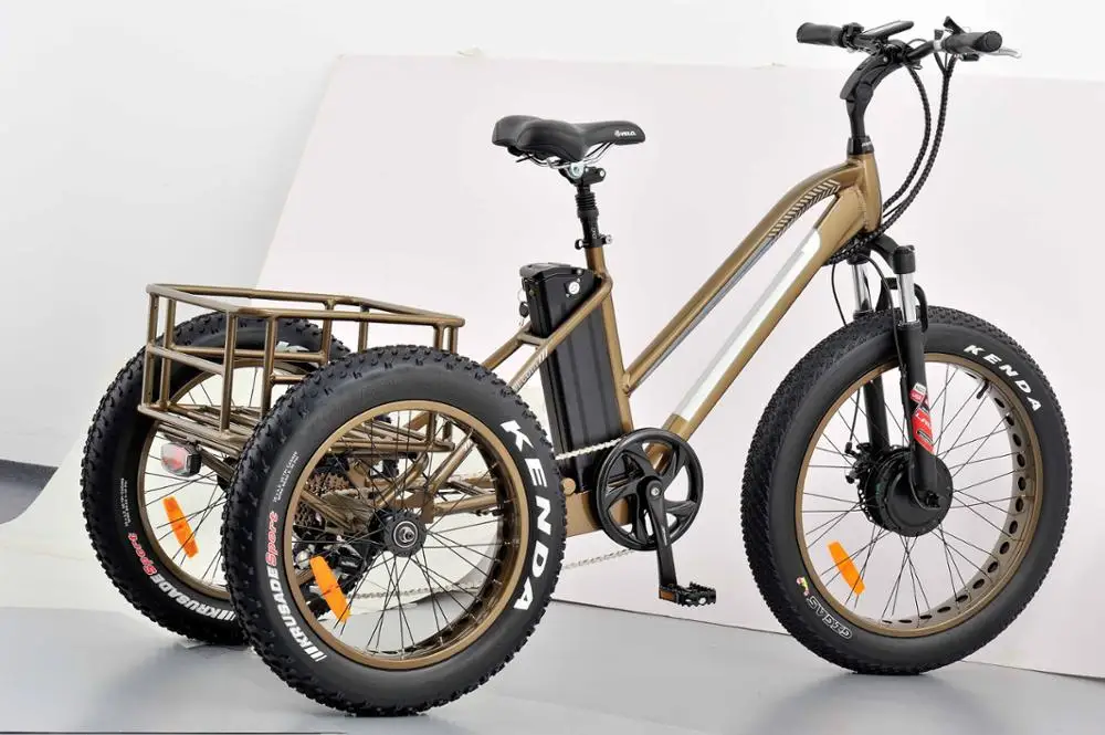 Какой электровелосипед купить взрослому. Burch Electric fat Tire Tricycle/Trike, 500w 48v Hybrid Bicycle/e-Bike с. Трехколесный электровелосипед карго 500w. Электровелосипед фэтбайк Hummer. Электровелосипед Carrefour 250w.