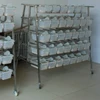 Rodent Mouse Rat Mice Breeding Racks