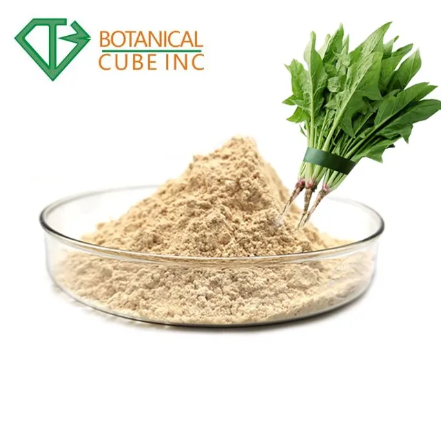 Pure Natural Spinach Extract Powder 10 Ecdysone Buy Spinach Powder