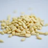 High Quality Cedar Pine Nut Kernel Good Price Raw Pine Nut