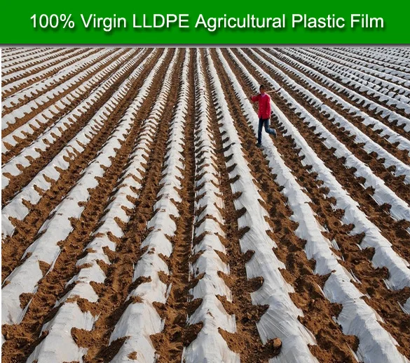 Cheap Farm Mulch Films For Crops For Agriculture Use Buy Plastic