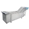 Safe and efficient household ozone vegetable washer