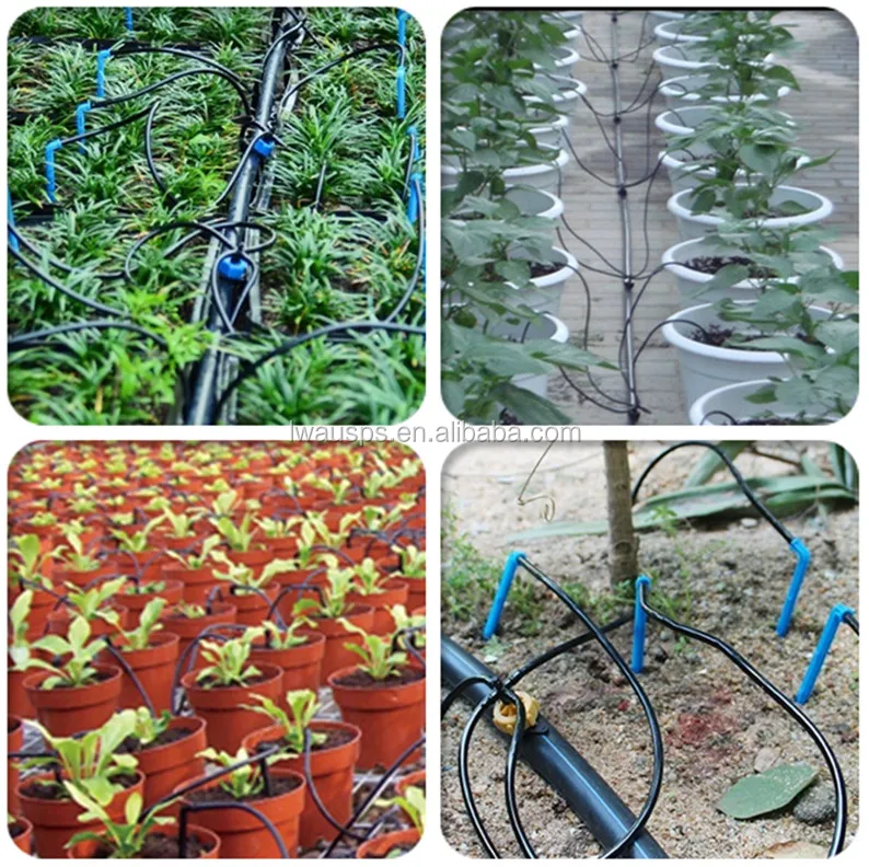 4 branch drip arrow6.jpg
