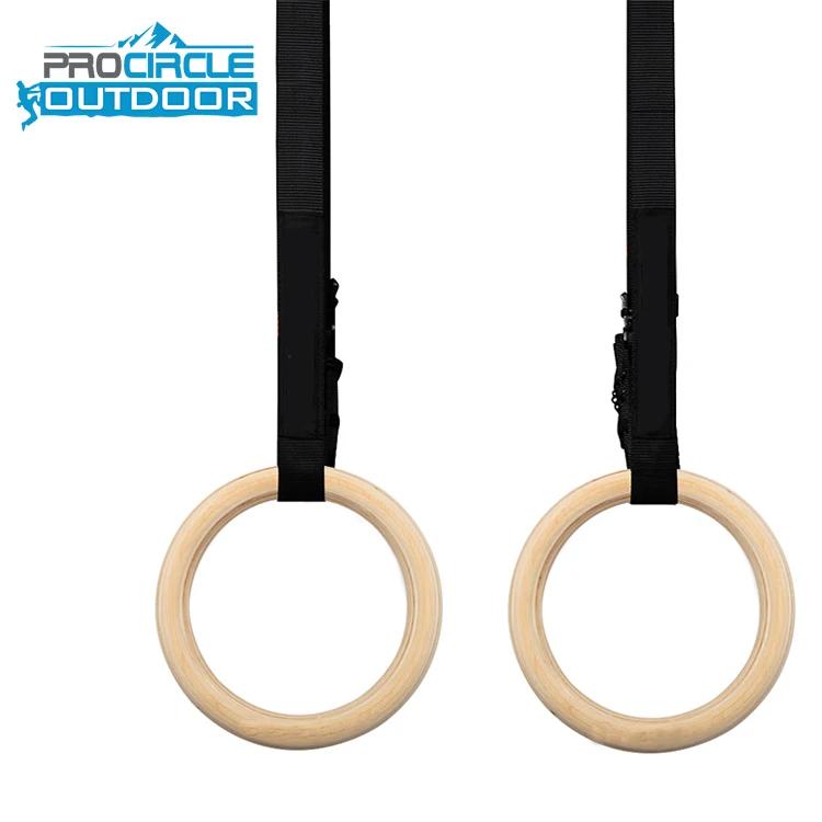 Buy YIXTY Plastic Gymnastic Rings Pull Up Hanging Rings with Heavy Duty  Adjustable Straps Pilates Ring Online at Best Prices in India - JioMart.
