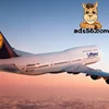 UPS Express Mainland China to Iraq Express Service Delivered to the door saving up to 80%-------Skype :TommyZhu