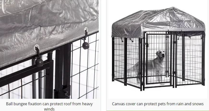 outdoor dog kennel