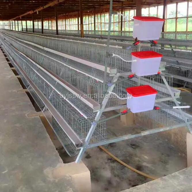 120 Layers Chicken Cage For Sale In Nigeria Wholesale Suppliers