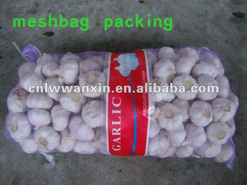 5.5cm normal white garlic_
