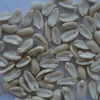 Blanched peanuts splits