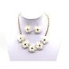 Popular Jewelry Acrylic Set Flower Design Necklace Bracelet Earrings Fashion Jewelry