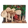 Card to Keep in Touch with Your Grandkids All Year Round, Postcards for Kids