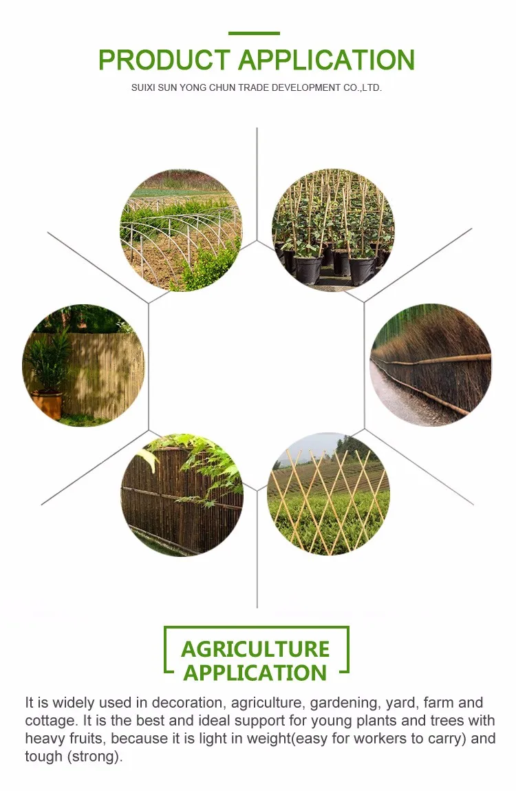 High quality whole best selling reed fence rolls mats for gardening