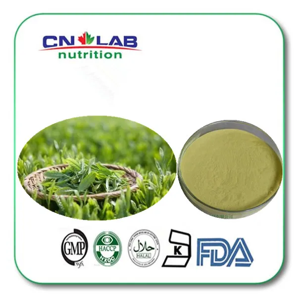 Camellia Sinensis Extract Powder - Buy Camellia Sinensis Extract Powder