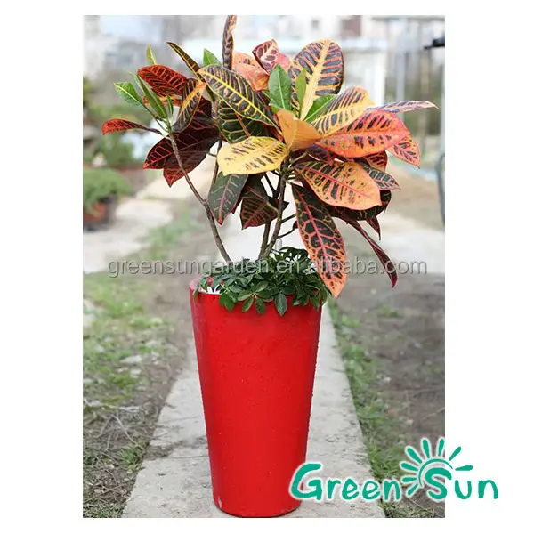 oxygens32 greensun nursery self watering system plastic pot pottery cheap china planter manufacturer lechuza