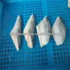 sea frozen cook cod fish head