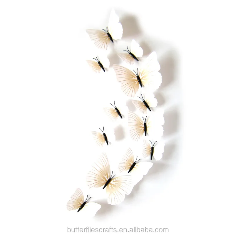PVC18001-5.jpg