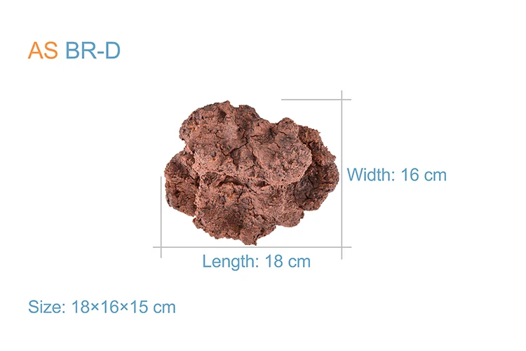 BR-D size2
