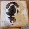 High Quality 3D Printing Soft Plush Bread Shaped Large Chair Cushion