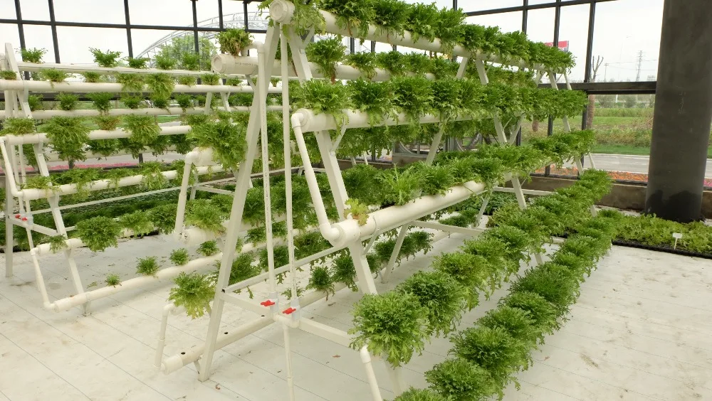 Greenhouse Hydroponics Nft System For Agriculture - Buy ...