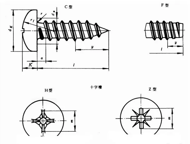 钩端螺旋体形态结构图片