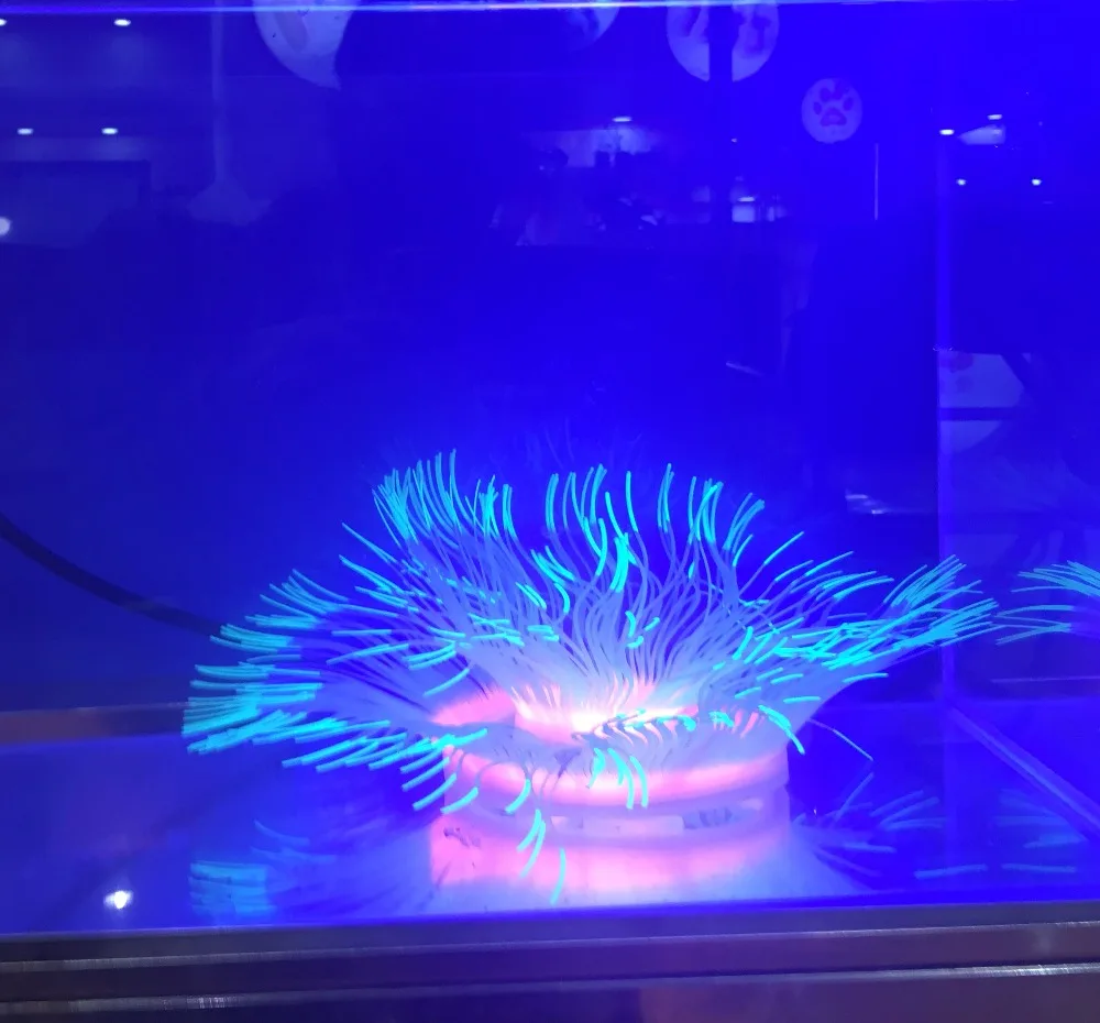 Custom LED and Acrylic personalized aquarium decorations