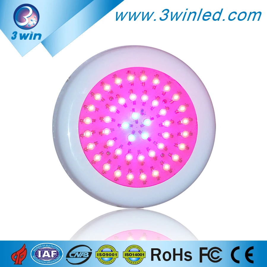 Venta al por mayor hidroponia en lechuga-Compre online los mejores