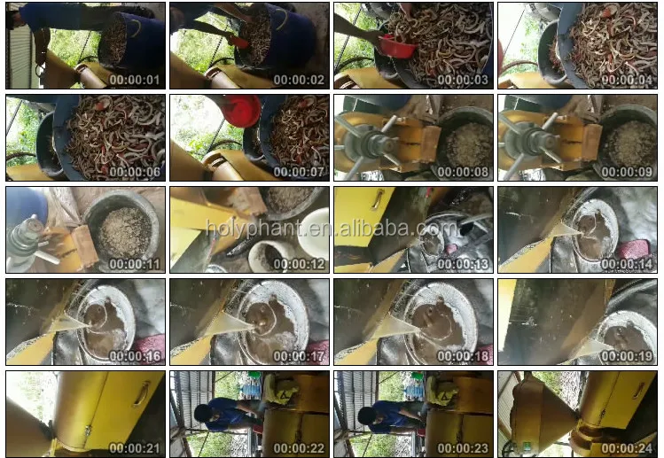 sunflower oil extraction machine