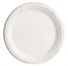 China Manufacturer Environmentally Friendly Biodegradable Disposable Tableware Wholesale