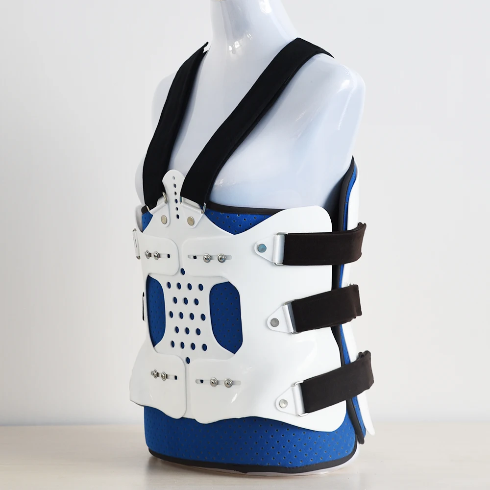 lumbar support gs403407.jpg