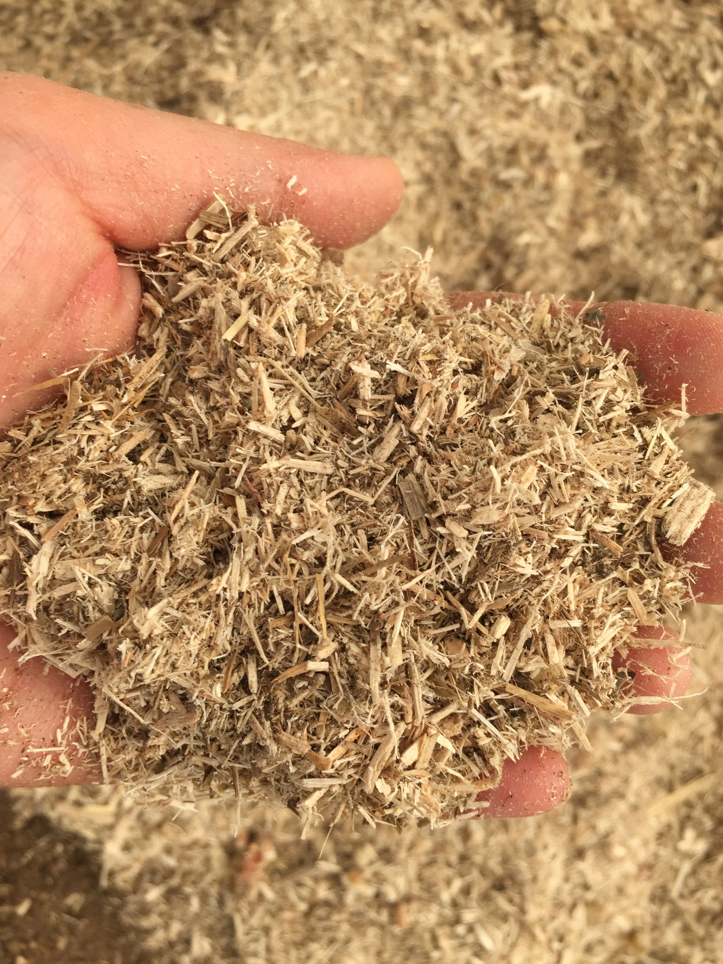 sawdust_pellet.jpg