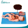 Vivid Anatomy Fetus Model with Internal Organs, Placenta and Umbilical Cord