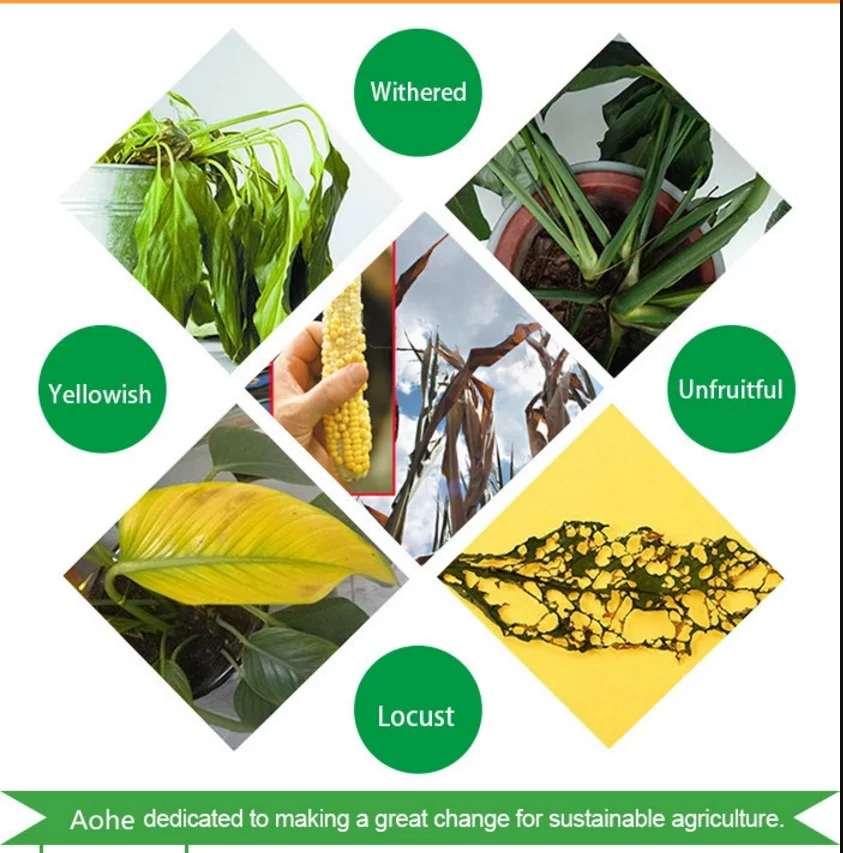 Fertilizante liquido de zinc quelado con aminoacidos para uso agricola Amino Zinc Liquid
