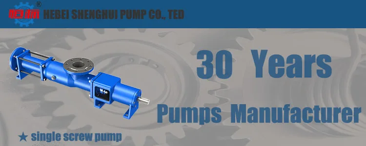 HengBiao G series helical rotor pump manufacturer flocculating agent waste water residual oil transfer mono screw pumps