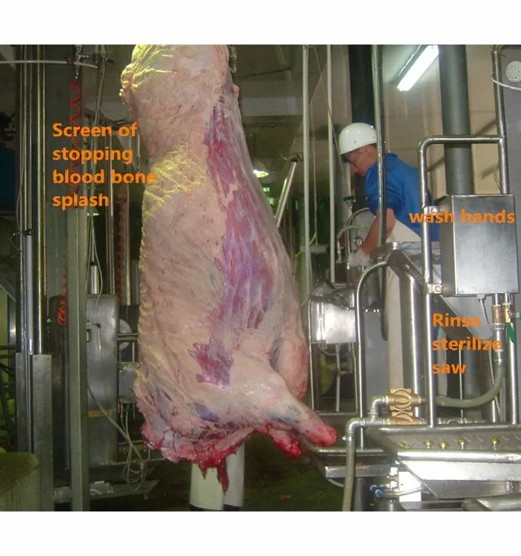 Professional Beef Carcass Cutting Saw - Heavy-Duty Construction, High Production, Industry-Leading Reliability