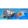 500~4000Kg/h Automatic Diesel/Gas fired Food Processing Steam Boiler