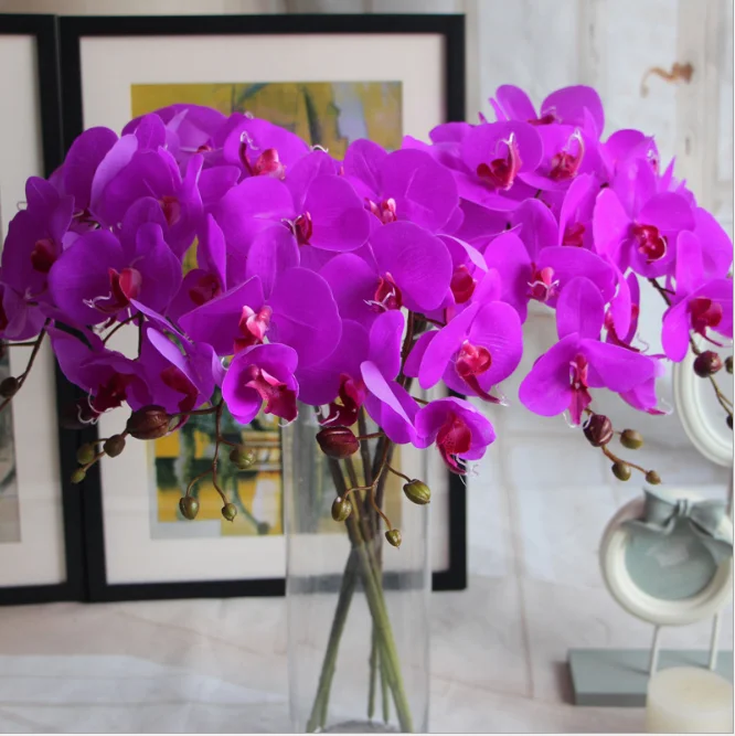 Латексные орхидеи. Самые модные расцветки фаленопсисов. Орхидея цвета фуксии. Искусственные фиолетовые орхидеи в интерьере.