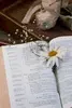 Portuguese And Multilingual Bibles Paper Or Software