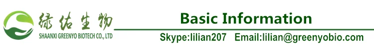logo-api-bi